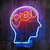 Open Minds Inc. 💡