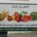 کشاورزی نوین وپایدار ایران