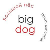 Bigdog_ekb помощь собакам, попавшим в беду ❤🐕