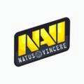 Natus Vincere | CS:GO