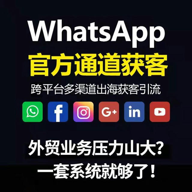 ws群发⚡️FB群发⚡️ins群发⚡️