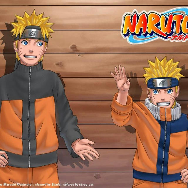 Naruto / Naruto Shippuden (VF) Animes Zone