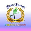 Sara.parrot