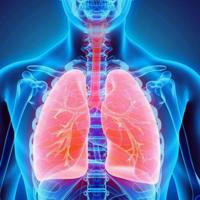 Respiratory System Data «اطباء بلا حدود»