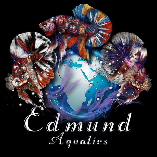 🇸🇬 Edmund Aquatics Singapore 🇸🇬