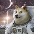 Day Trading Doge
