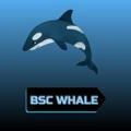 BSC Whale Annoucement