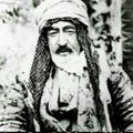 🦋« بیاخ دارانی شاه حسام الدین »🦋