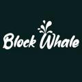 Block Whale News & Announcement