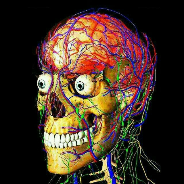 🤯 Вижити в Меді 👨‍⚕️💉