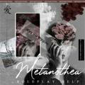 METANOTHEA