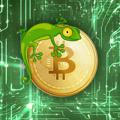 Gecko Cripto Trader(Криптовалютный мир)