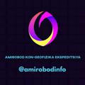 AMIROBOD INFO®