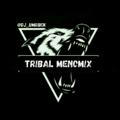 ✯ TribaL MenomiX ✯