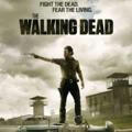 The Walking Dead |🧟‍♀| مسلسل الموتى السائرون