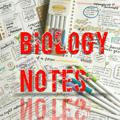 NEET Biology Notes 📚 11th + 12th