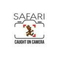Safari Caught On Camera