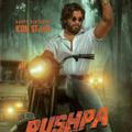 Pushpa Hd movies Hollywood Bollywood