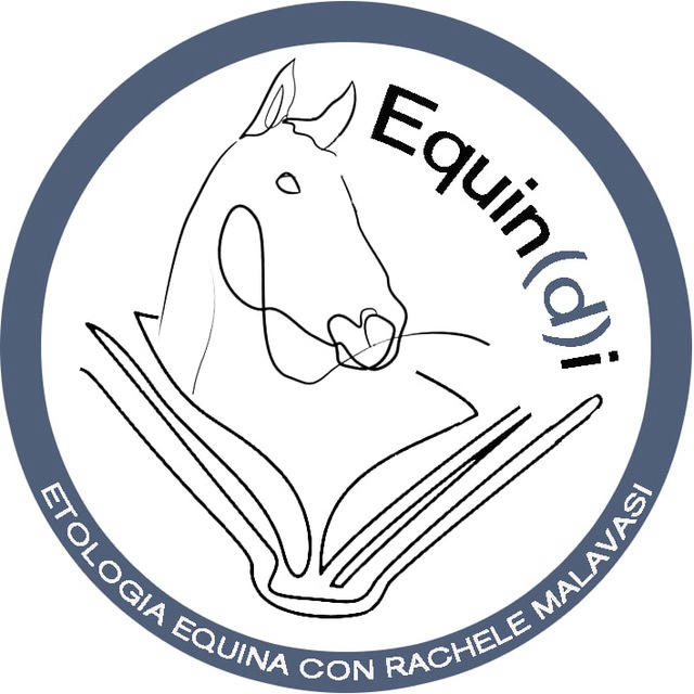 Etologia equina con Rachele Malavasi - Il comportamento del cavallo