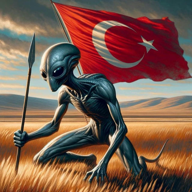 Turkish Shitposting Yeniden