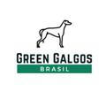 Green Galgos Brasil 🐶