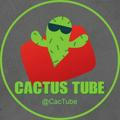 Cactus Tube🌵