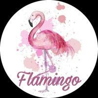 أطفال flamingo