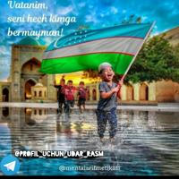 PROFIL UCHUN UDAR RASMLAR