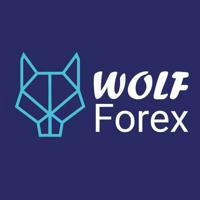 Wolf Forex