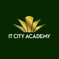 IT City Academy