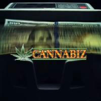 Cannabiz (main channel)