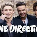 ✅ One Direction (Discography)