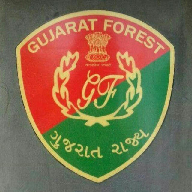Gk_in_forest