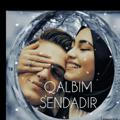 QALBIM SENDADIR