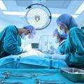Operativ xirurgiya | Topografik anatomiya