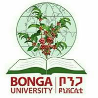 Bonga University