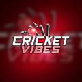 Cricket vibes🏏