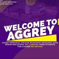 💜AGGREY AIRLINES🚁💨💨💛