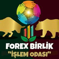 Forex Birlik İşlem Odası