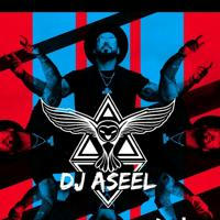 Dj AseeL Music