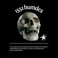 BUMDES 1551