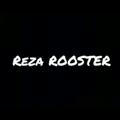REZA ROOSTER