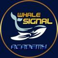 Whale Signal 🐋(Academy)🐋