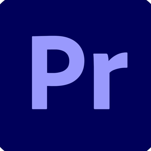 Premiere Pro | Pugins and actions