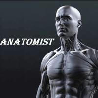 Anatomist 61 channel