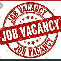 Ethio Job Vacancy ®️