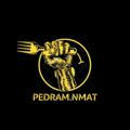 Pedram_Nmat