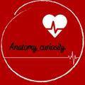 Anatomy_curiosity 💉📚