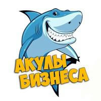 🦈 Акулы Бизнеса (SharksBusiness.biz) NEWS 🔥