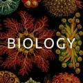 Biology NEET Study Materials